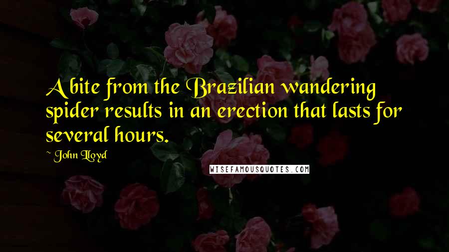 John Lloyd Quotes: A bite from the Brazilian wandering spider results in an erection that lasts for several hours.