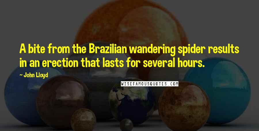 John Lloyd Quotes: A bite from the Brazilian wandering spider results in an erection that lasts for several hours.