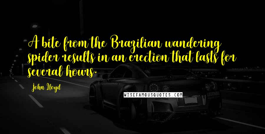 John Lloyd Quotes: A bite from the Brazilian wandering spider results in an erection that lasts for several hours.