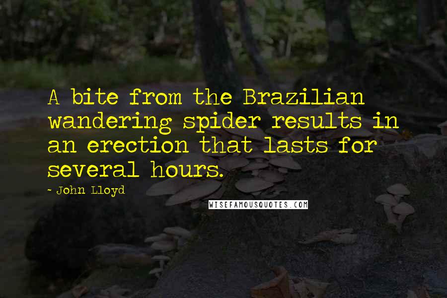 John Lloyd Quotes: A bite from the Brazilian wandering spider results in an erection that lasts for several hours.