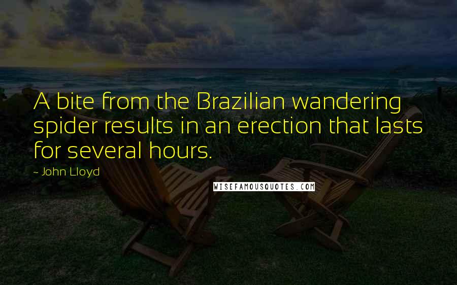 John Lloyd Quotes: A bite from the Brazilian wandering spider results in an erection that lasts for several hours.