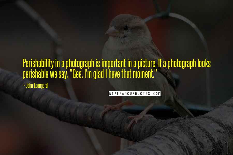 John Loengard Quotes: Perishability in a photograph is important in a picture. If a photograph looks perishable we say, "Gee, I'm glad I have that moment."