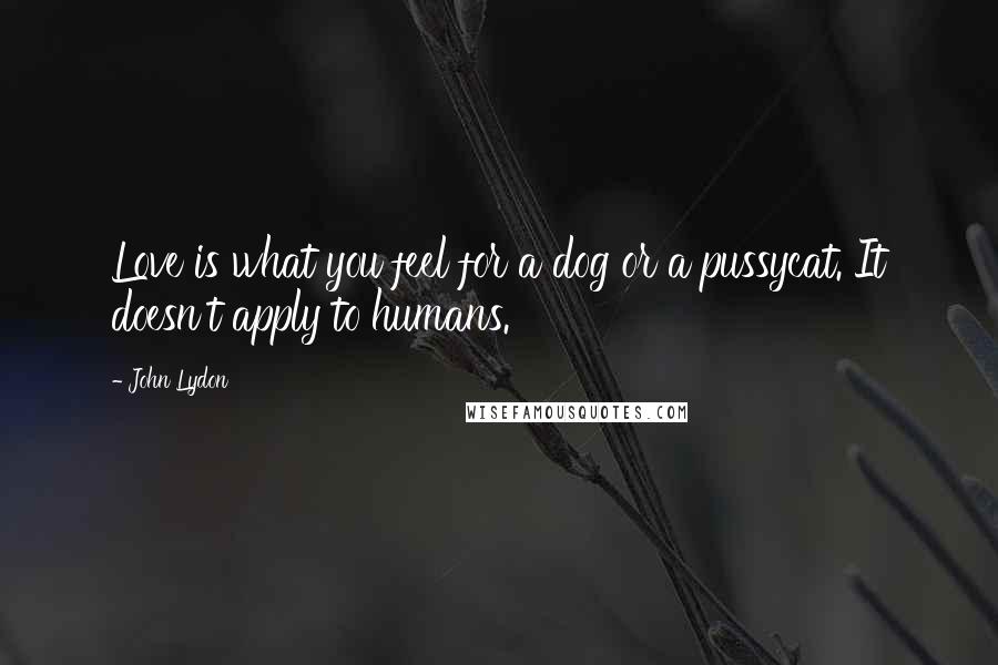 John Lydon Quotes: Love is what you feel for a dog or a pussycat. It doesn't apply to humans.