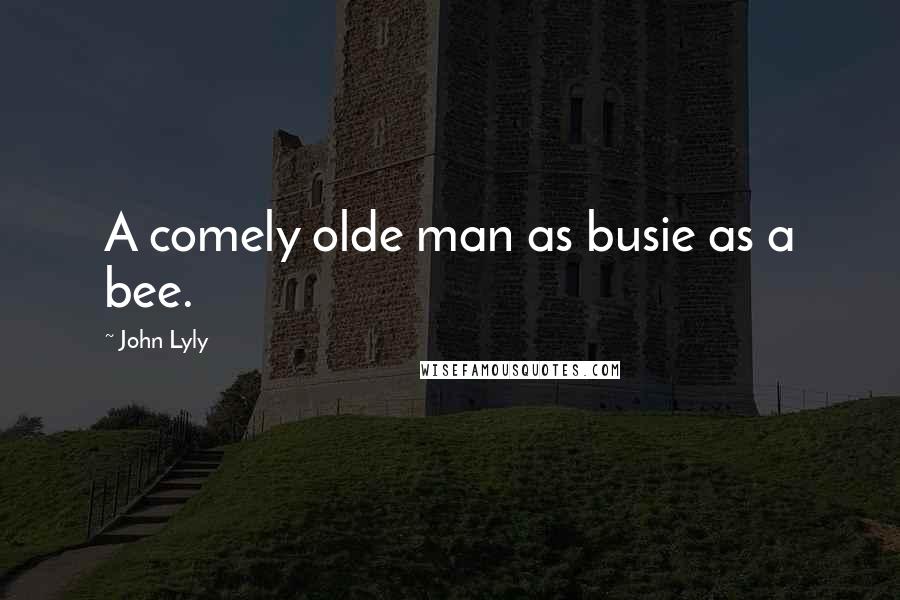 John Lyly Quotes: A comely olde man as busie as a bee.