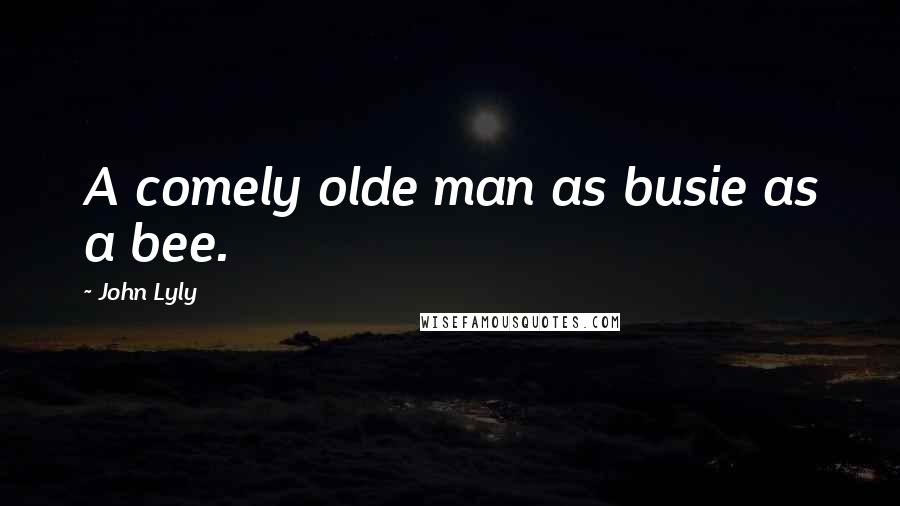 John Lyly Quotes: A comely olde man as busie as a bee.