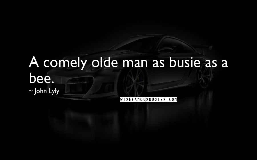 John Lyly Quotes: A comely olde man as busie as a bee.