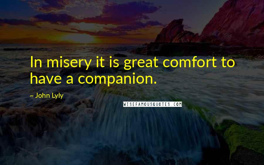 John Lyly Quotes: In misery it is great comfort to have a companion.