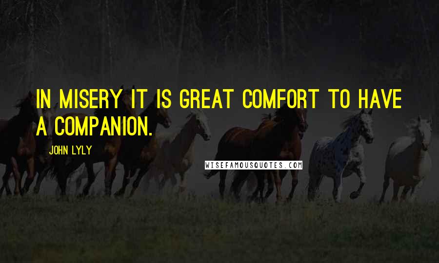 John Lyly Quotes: In misery it is great comfort to have a companion.