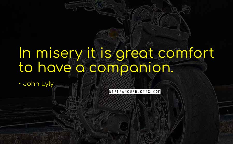 John Lyly Quotes: In misery it is great comfort to have a companion.