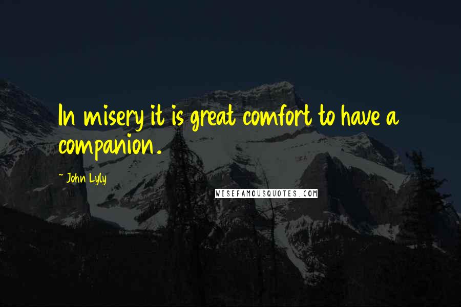 John Lyly Quotes: In misery it is great comfort to have a companion.