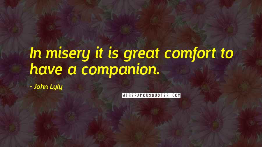 John Lyly Quotes: In misery it is great comfort to have a companion.