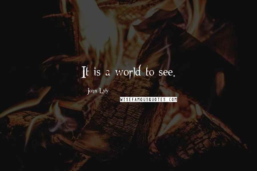 John Lyly Quotes: It is a world to see.