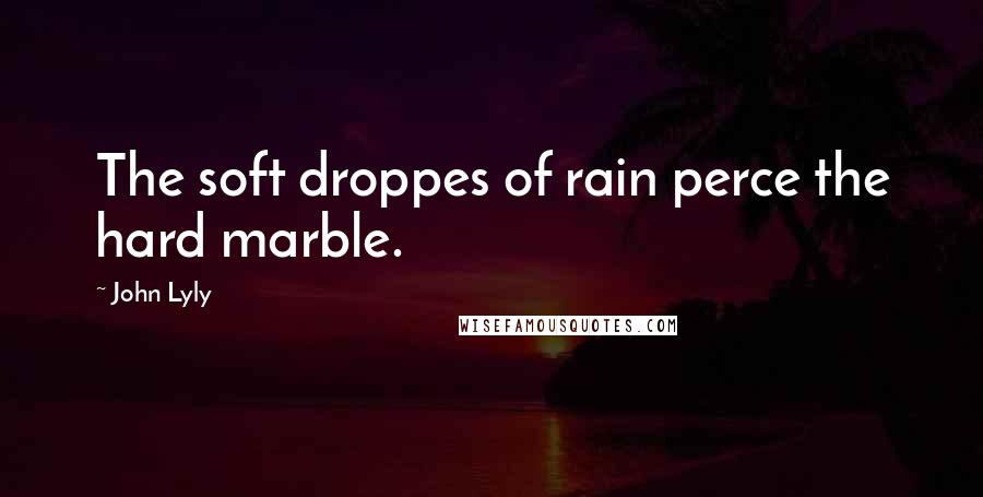 John Lyly Quotes: The soft droppes of rain perce the hard marble.