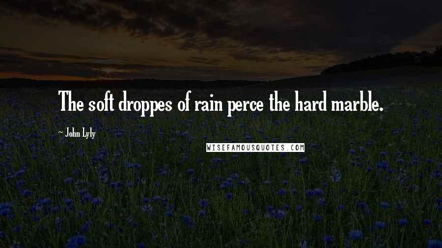 John Lyly Quotes: The soft droppes of rain perce the hard marble.