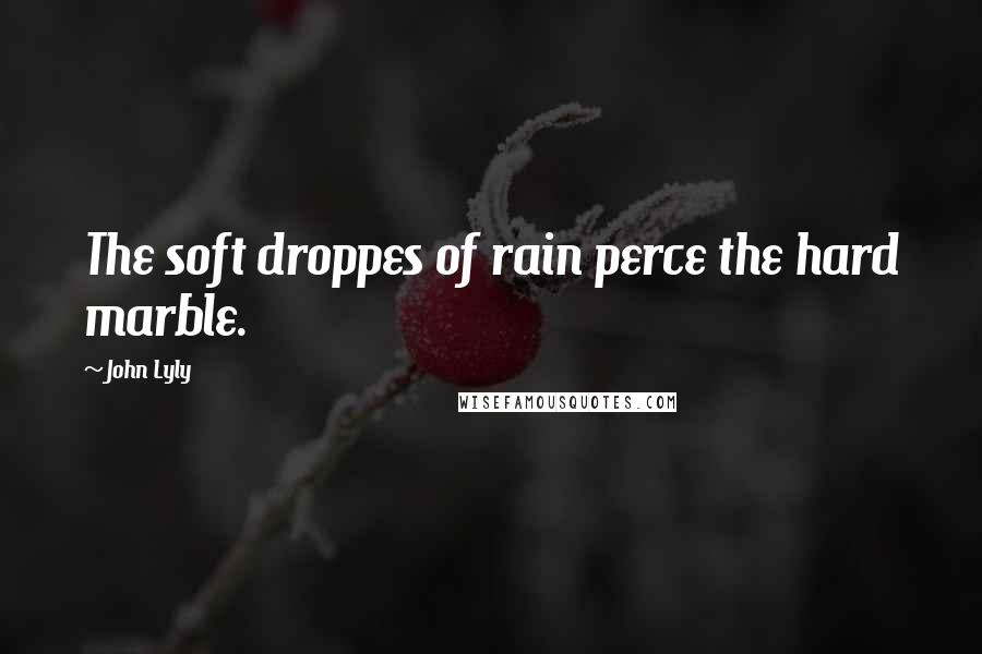 John Lyly Quotes: The soft droppes of rain perce the hard marble.