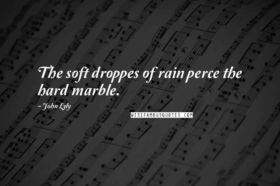 John Lyly Quotes: The soft droppes of rain perce the hard marble.