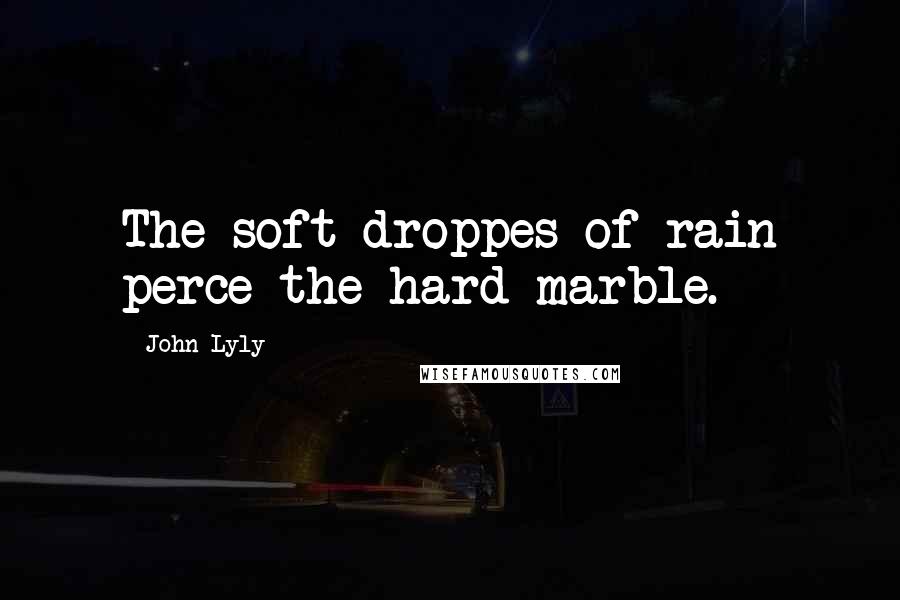 John Lyly Quotes: The soft droppes of rain perce the hard marble.