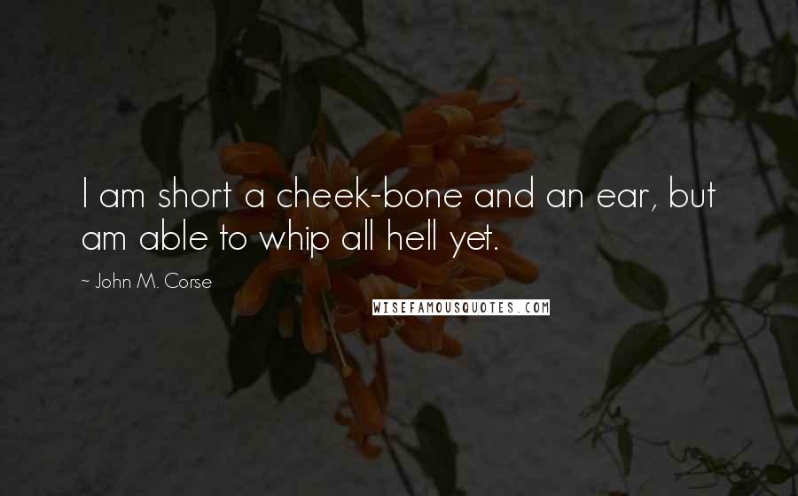 John M. Corse Quotes: I am short a cheek-bone and an ear, but am able to whip all hell yet.