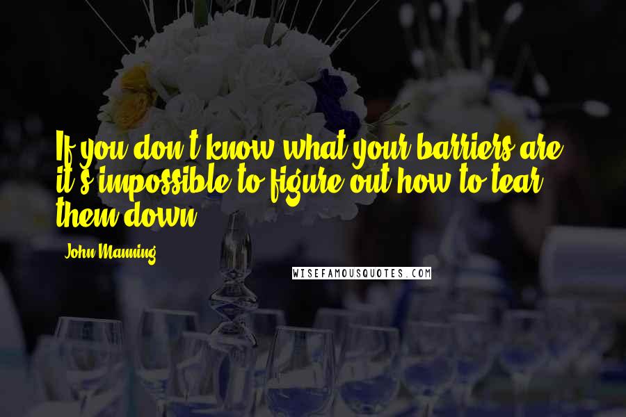 John Manning Quotes: If you don't know what your barriers are, it's impossible to figure out how to tear them down.