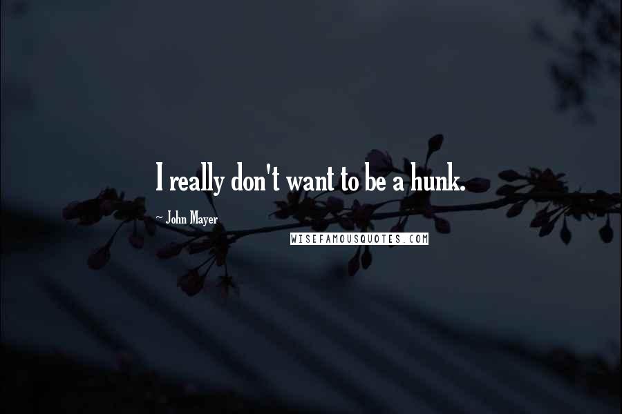 John Mayer Quotes: I really don't want to be a hunk.