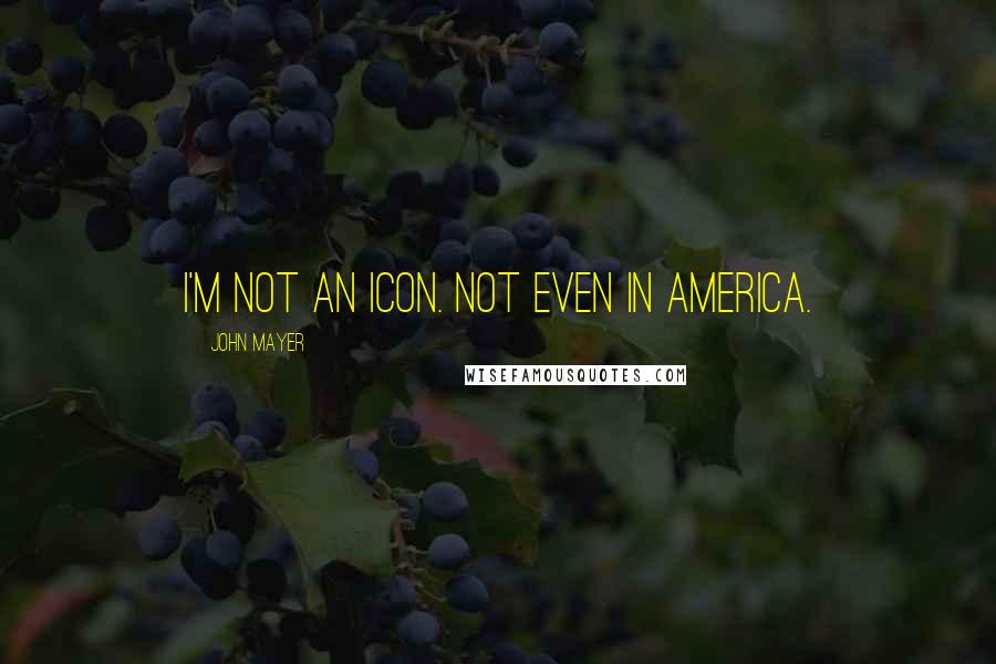 John Mayer Quotes: I'm not an icon. Not even in America.