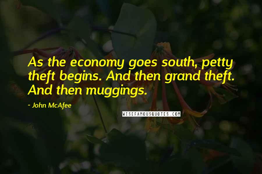 John McAfee Quotes: As the economy goes south, petty theft begins. And then grand theft. And then muggings.