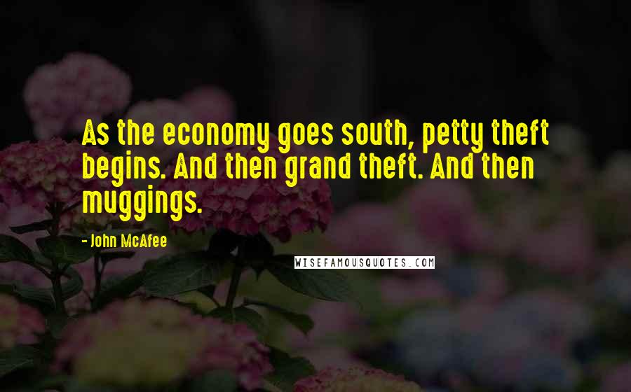 John McAfee Quotes: As the economy goes south, petty theft begins. And then grand theft. And then muggings.