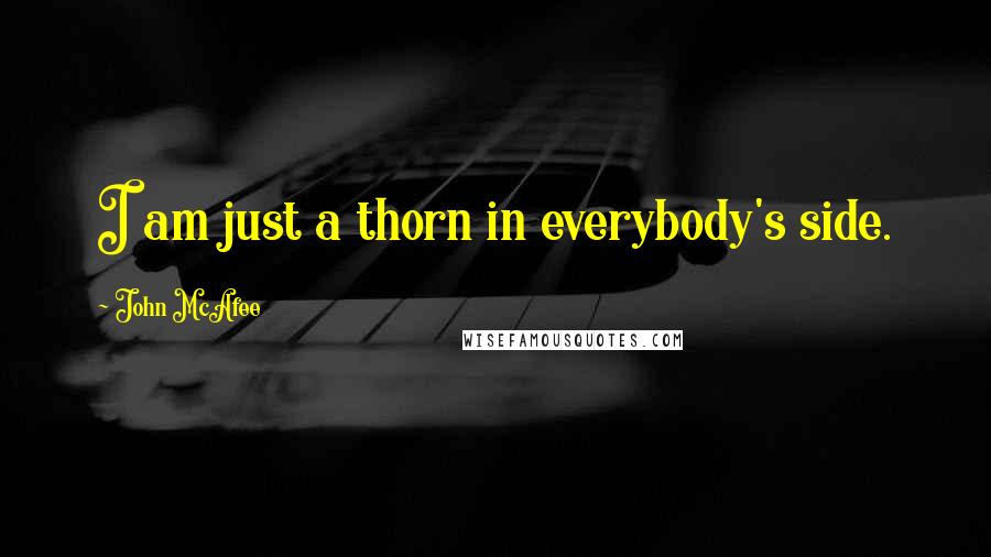 John McAfee Quotes: I am just a thorn in everybody's side.