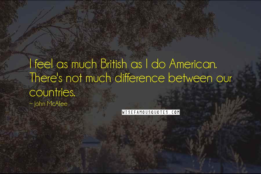 John McAfee Quotes: I feel as much British as I do American. There's not much difference between our countries.