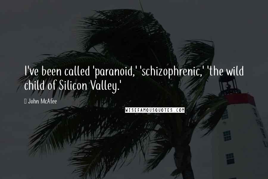 John McAfee Quotes: I've been called 'paranoid,' 'schizophrenic,' 'the wild child of Silicon Valley.'