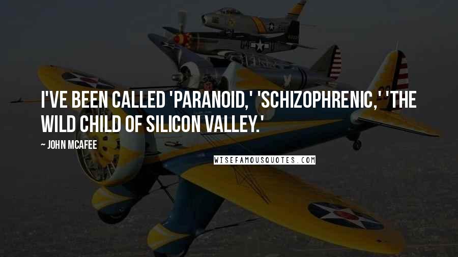 John McAfee Quotes: I've been called 'paranoid,' 'schizophrenic,' 'the wild child of Silicon Valley.'