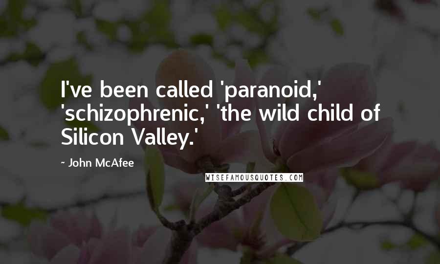 John McAfee Quotes: I've been called 'paranoid,' 'schizophrenic,' 'the wild child of Silicon Valley.'