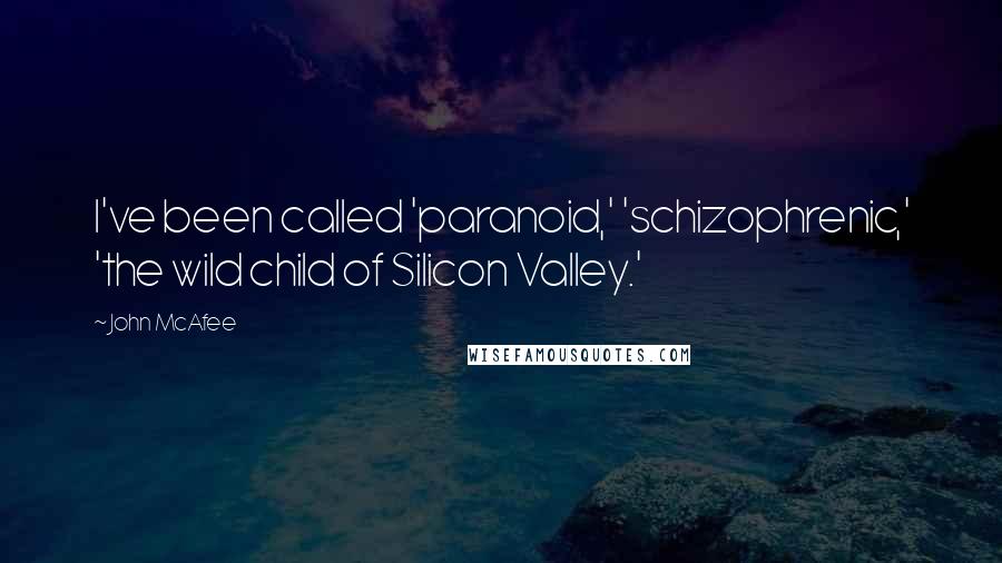 John McAfee Quotes: I've been called 'paranoid,' 'schizophrenic,' 'the wild child of Silicon Valley.'