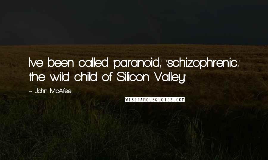 John McAfee Quotes: I've been called 'paranoid,' 'schizophrenic,' 'the wild child of Silicon Valley.'