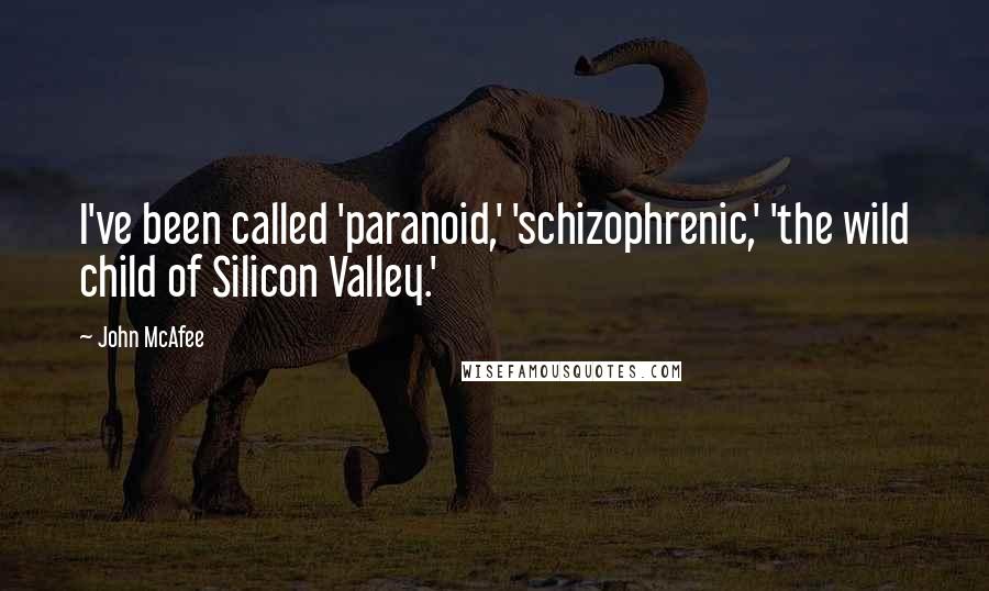 John McAfee Quotes: I've been called 'paranoid,' 'schizophrenic,' 'the wild child of Silicon Valley.'