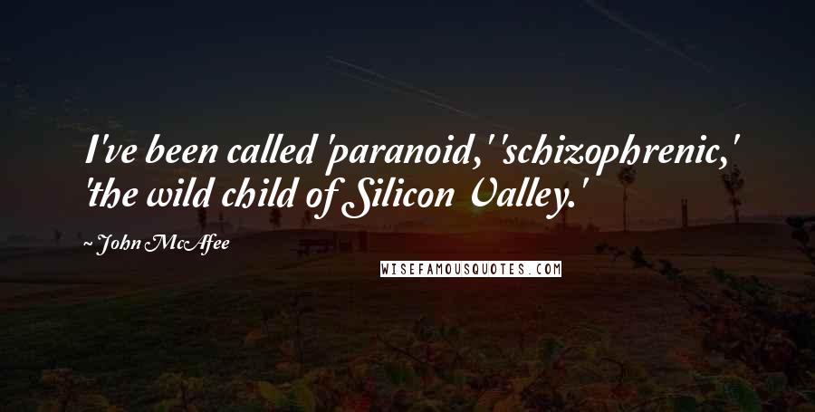 John McAfee Quotes: I've been called 'paranoid,' 'schizophrenic,' 'the wild child of Silicon Valley.'