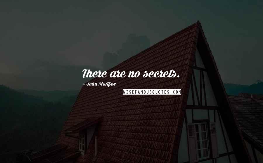John McAfee Quotes: There are no secrets.