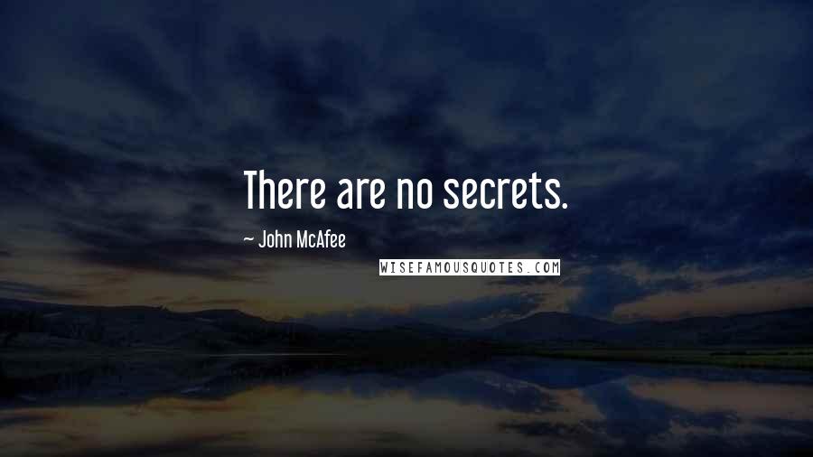 John McAfee Quotes: There are no secrets.