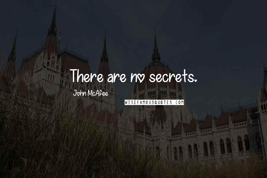 John McAfee Quotes: There are no secrets.