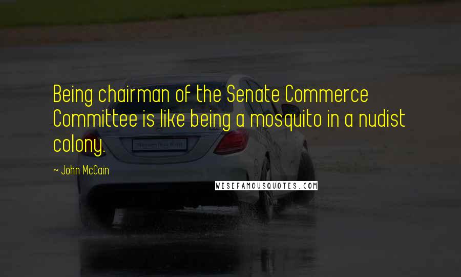 John McCain Quotes: Being chairman of the Senate Commerce Committee is like being a mosquito in a nudist colony.