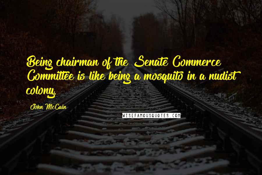 John McCain Quotes: Being chairman of the Senate Commerce Committee is like being a mosquito in a nudist colony.