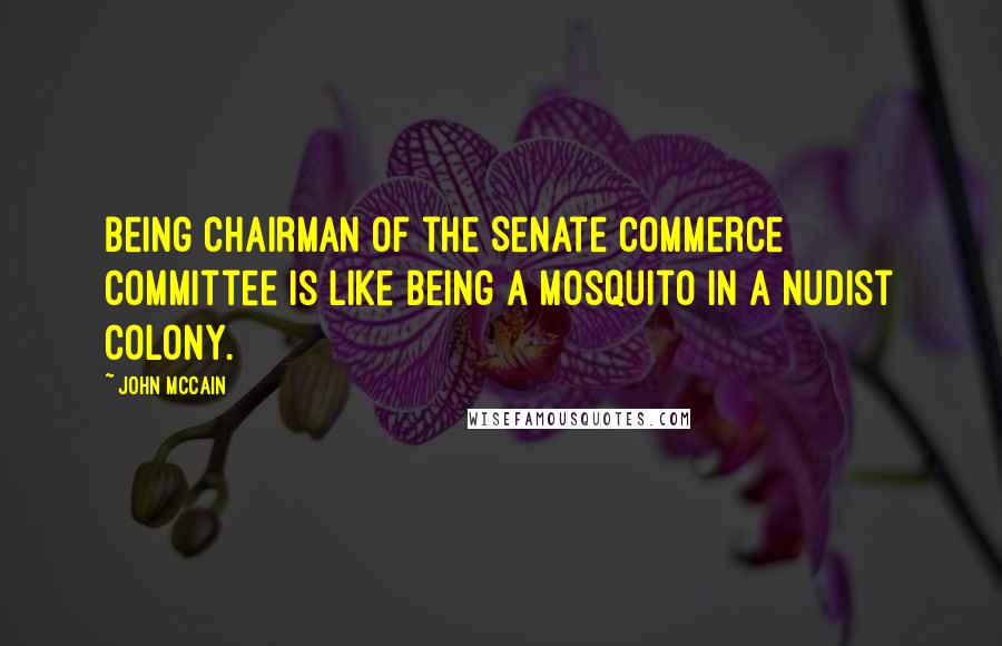 John McCain Quotes: Being chairman of the Senate Commerce Committee is like being a mosquito in a nudist colony.