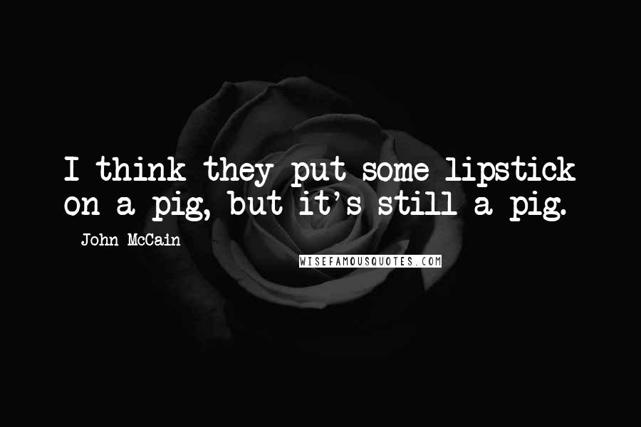 John McCain Quotes: I think they put some lipstick on a pig, but it's still a pig.