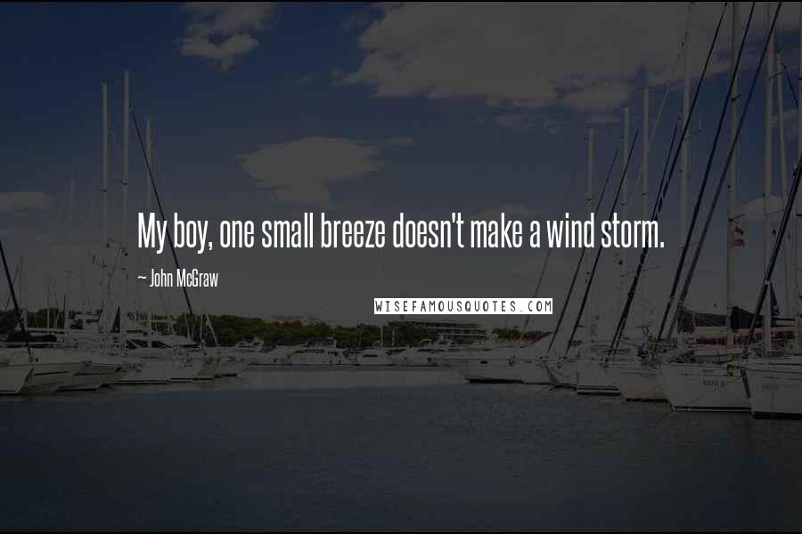 John McGraw Quotes: My boy, one small breeze doesn't make a wind storm.