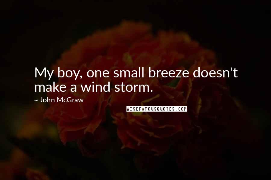 John McGraw Quotes: My boy, one small breeze doesn't make a wind storm.