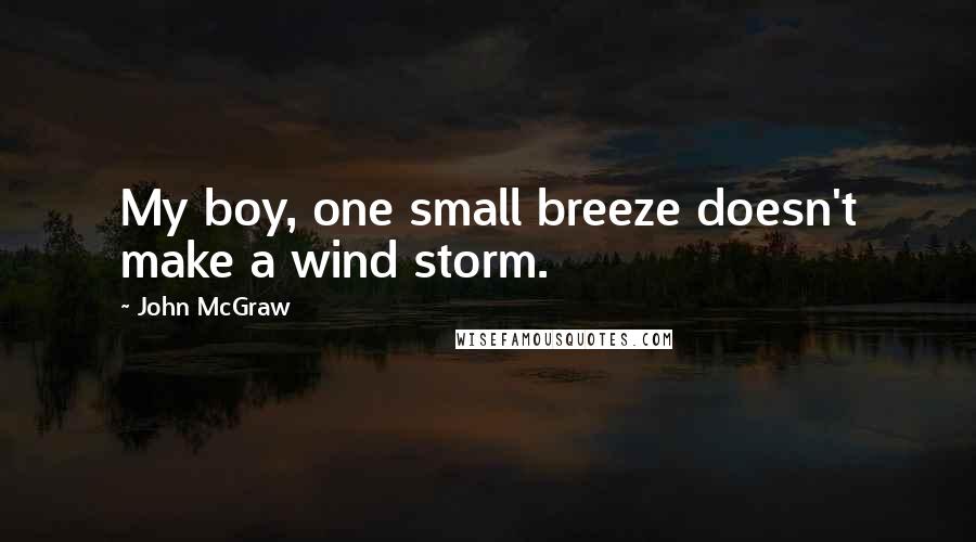 John McGraw Quotes: My boy, one small breeze doesn't make a wind storm.