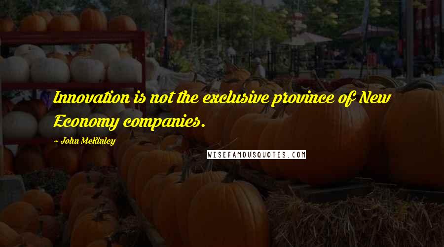 John McKinley Quotes: Innovation is not the exclusive province of New Economy companies.