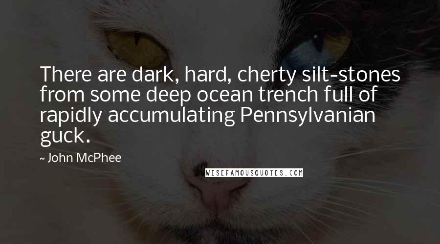 John McPhee Quotes: There are dark, hard, cherty silt-stones from some deep ocean trench full of rapidly accumulating Pennsylvanian guck.