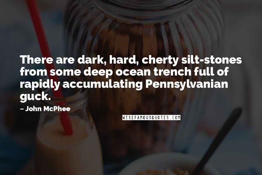 John McPhee Quotes: There are dark, hard, cherty silt-stones from some deep ocean trench full of rapidly accumulating Pennsylvanian guck.
