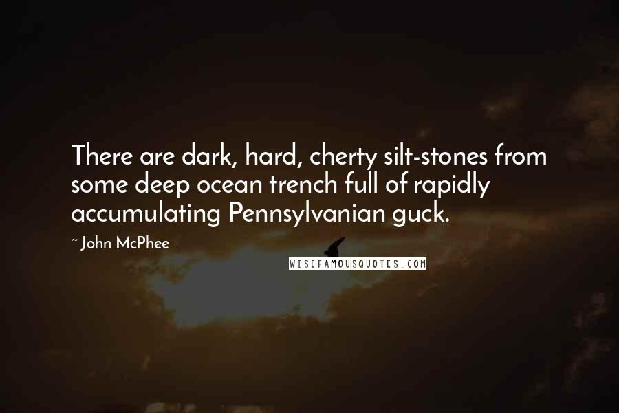John McPhee Quotes: There are dark, hard, cherty silt-stones from some deep ocean trench full of rapidly accumulating Pennsylvanian guck.